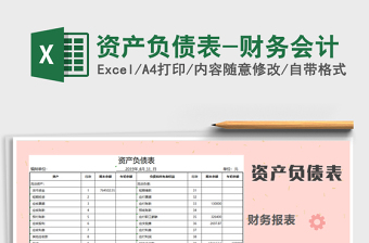 2021年資產(chǎn)負(fù)債表-財務(wù)會計