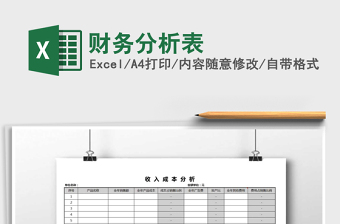 2021年財務(wù)分析表