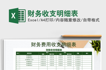 2021年財(cái)務(wù)收支明細(xì)表