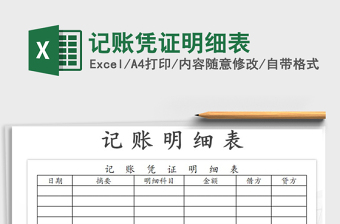 2021年記賬憑證明細表