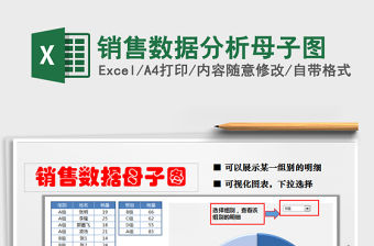 2021年銷售數(shù)據(jù)分析母子圖