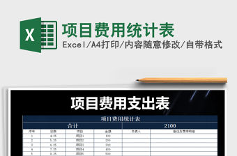 2021年項目費用統計表