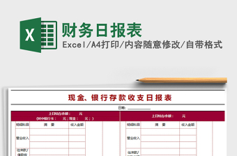 2021年财务日报表