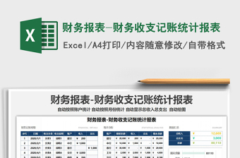 2021年财务报表-财务收支记账统计报表