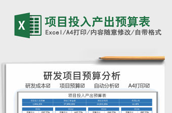 2021年項目投入產出預算表