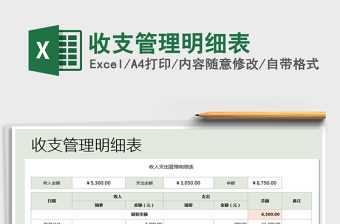2021年收支管理明細(xì)表