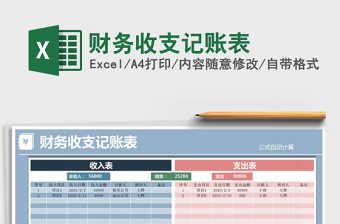 2021年財務(wù)收支記賬表