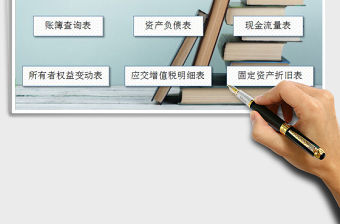 2021年財務做賬管理系統表