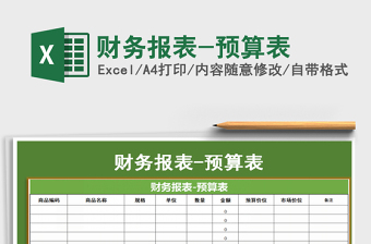2021年財(cái)務(wù)報(bào)表-預(yù)算表