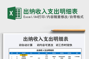 2021年出納收入支出明細表