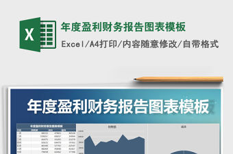 2021年年度盈利財務報告圖表模板