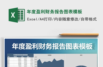 2021年年度盈利財(cái)務(wù)報(bào)告圖表模板