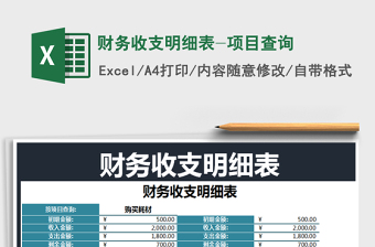 2022收支表-项目查询