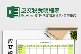 2021年應(yīng)交稅費(fèi)明細(xì)表