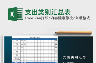 2021年支出類別匯總表
