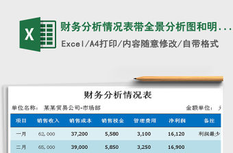2021年財務分析情況表帶全景分析圖和明細項目分析圖