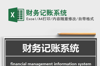 2021年財(cái)務(wù)記賬系統(tǒng)