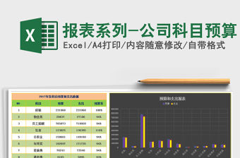 2021年報表系列-公司科目預算