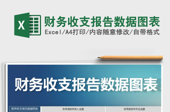 2021年財務收支報告數據圖表