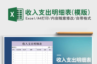 2021年收入支出明細表(模版)