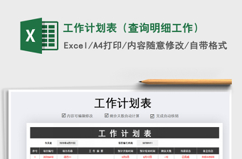 2021年工作計(jì)劃表（查詢明細(xì)工作）