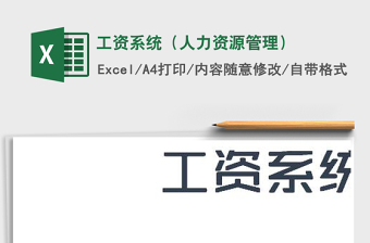 2022年工資系統(tǒng)（人力資源管理）