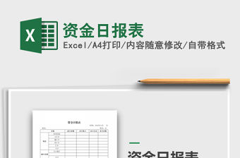 2021年資金日報表免費下載