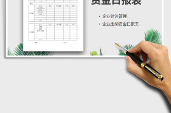 2021年資金日?qǐng)?bào)表免費(fèi)下載