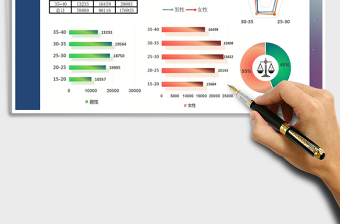 2022年數(shù)據(jù)分析對比報表男女年齡比例
