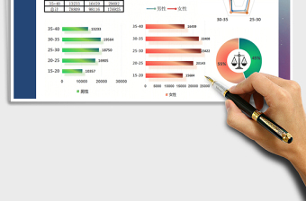 2022年数据分析对比报表男女年龄比例