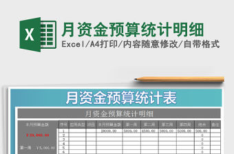 2021年月資金預算統計明細