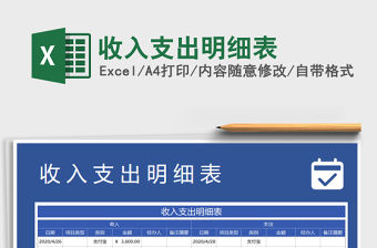 2021年收入支出明細表