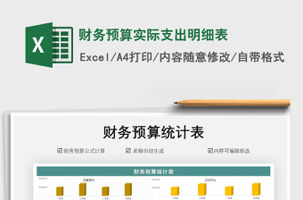 2021年財務(wù)預(yù)算實際支出明細(xì)表