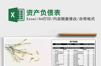2021年資產(chǎn)負(fù)債表免費(fèi)下載