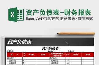2021年資產(chǎn)負(fù)債表-財務(wù)報表