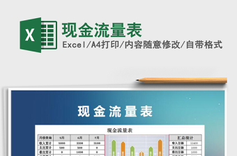 2022年現(xiàn)金流量表