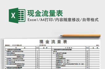 最新现金流量表模板2021