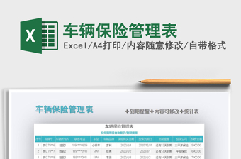 2021年車(chē)輛保險(xiǎn)管理表