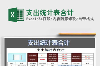 2021年支出統計表合計