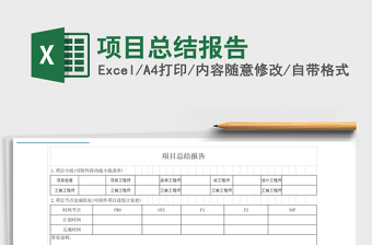 2021年項目總結(jié)報告
