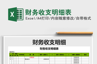 2022年財務(wù)收支明細表