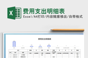 2021年費(fèi)用支出明細(xì)表
