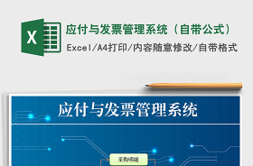 excel发票管理系统