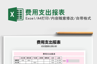 2021年費(fèi)用支出報(bào)表