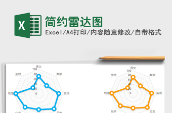 2022简约雷达图