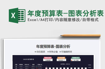 2021年年度預算表-圖表分析表