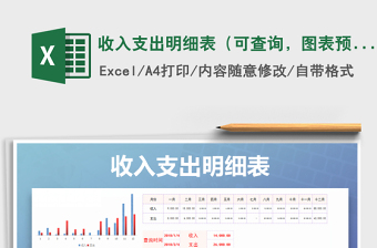 2021年收入支出明細(xì)表（可查詢，圖表預(yù)覽）免費(fèi)下載