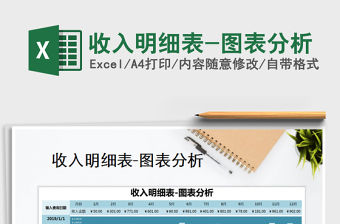 2021年收入明細表-圖表分析