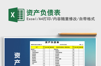 2021资产负债表 预算表 模板免费下载