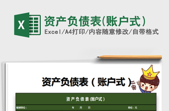 2022年資產(chǎn)負(fù)債表(賬戶式）